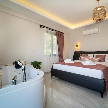 Villa With Sea View And Heated Pool Mariposa Fethiye